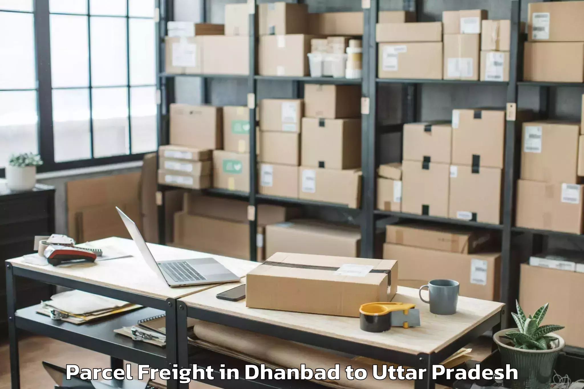 Book Dhanbad to Nichlaul Parcel Freight